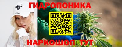 гашик Тула