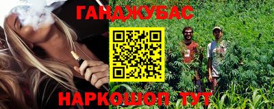 гашик Тула