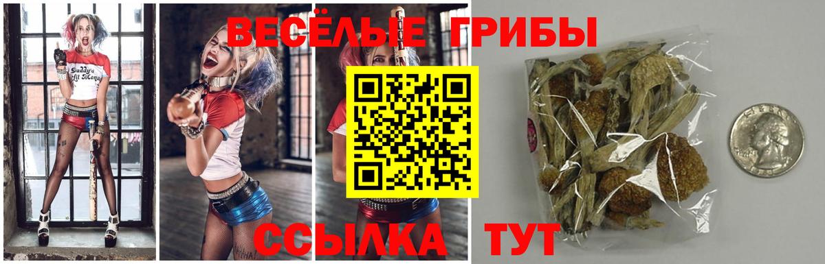 Галлюциногенные грибы Cubensis Алексин