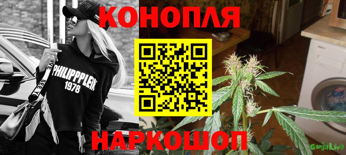 Бошки марихуана SATIVA & INDICA  Вход с VPN  Шишки марихуана гибрид  Бошки Шишки семена  Алексин 